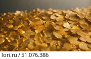 Gleaming Treasure Trove of Golden Flakes. An abstract illustration of wealth, luxury, and abundance. Стоковое AI-видео, аниматор Данила Большаков / Фотобанк Лори