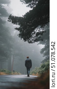 Walking through a misty forest path at dawn on a quiet morning surrounded by nature's tranquility. Стоковое AI-видео, аниматор Сергей Толмачёв / Фотобанк Лори
