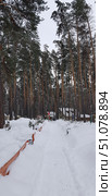 Winter landscape with a snow-covered forest road leading to houses among tall pine trees. The road is neatly trodden and framed by snowdrifts, and on the left side it is separated by a low wooden fence painted red-orange. Tall slender pines with reddish trunks and green needles go up, creating a picturesque background. In the depths, wooden houses with snow-covered roofs and an arch at the entrance are visible. The atmosphere of the frame conveys the peace and quiet of a winter forest. Стоковое фото, фотограф Анна Кривицкая / Фотобанк Лори