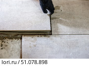 A worker lays gray ceramic tiles during a floor renovation, ensuring precise alignment with plastic spacers. Стоковое фото, фотограф Коханова Наталья / Фотобанк Лори