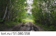 Лесная дорога. Стоковое видео, видеограф Степан Столбовский / Фотобанк Лори