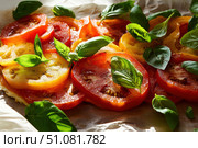 A vibrant tomato tart displays thinly sliced tomatoes fanned elegantly over golden cheese. The deep reds and oranges contrast beautifully with fresh green basil, creating a culinary masterpiece. Стоковое AI-изображение, AI-художник Nart / Фотобанк Лори