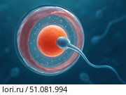 Highly detailed 3D illustration of human fertilization showing a sperm cell approaching and penetrating the egg, symbolizing the start of life and conception. Стоковое AI-изображение, AI-художник Nart / Фотобанк Лори
