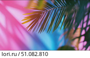 Colorful tropical leaves swaying in the breeze at sunset with vibrant backgrounds in the relaxing atmosphere. Стоковое AI-видео, аниматор Сергей Толмачёв / Фотобанк Лори