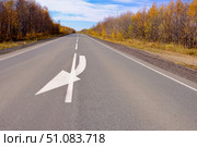 A road sign on the asphalt with an arrow showing overtaking is allowed. Стоковое фото, фотограф lyudmila Soloveva / Фотобанк Лори