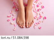 Woman's beautiful bare feet against a pink background. The soles and well-groomed toes and rose petals scattered around. Perfect skin tone. Pastel-colored backdrop for beauty and skin care advertising. Стоковое AI-изображение, AI-художник Марина Демидюк / Фотобанк Лори