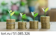 Stacks of coins with small green plants growing from them. Represents financial growth and sustainability. Ideal for concepts related to investment and eco-friendly practices. Стоковое AI-видео, аниматор Nart / Фотобанк Лори