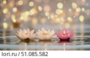 Three floating lotus flowers with candles in a serene water setting. Soft bokeh lights create a festive atmosphere for Diwali celebrations. Стоковое AI-видео, аниматор Nart / Фотобанк Лори