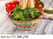 Fresh green ruccola salad leaves. Стоковое фото, фотограф Андрей Старостин / Фотобанк Лори