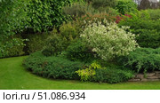Different types of shrubbery, shrubs, stone path surrounded by evergreen trees. Professional Landscaping with lots of flowers, plants, rocks on the ground. Garden Daily Idea. English style. Real Video. Стоковое видео, видеограф Марина Демидюк / Фотобанк Лори