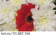 Rotating bouquet of red gerbera daisy and white chrysanthemums in soft studio light. Romantic Elegant floral motion for wedding, Valentine's Day, spa, beauty, love, celebration or background. Стоковое видео, видеограф Марина Демидюк / Фотобанк Лори