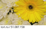 Rotating bouquet of yellow gerbera daisy and white chrysanthemums in soft studio light. Romantic Elegant floral motion for wedding, Valentine's Day, spa, beauty, love, celebration or background. Стоковое видео, видеограф Марина Демидюк / Фотобанк Лори