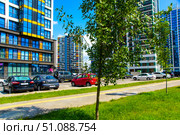 A city street with a tree in the middle and cars parked on the side. Belarus. Minsk. 09.08.25. Редакционное фото, фотограф Ярославский Максим / Фотобанк Лори
