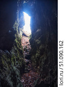 Forest landscape in late autumn or early spring. Rocks covered with moss and roots. The entrance to the cave or the split between the stones. Стоковое фото, фотограф Наталия Кирсанова / Фотобанк Лори