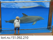 Boy. Dolphins show, Maspalomas, Spain (2014 год). Редакционное фото, фотограф Знаменский Олег / Фотобанк Лори