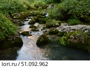 Ручей Водопадистый, Фишт, Адыгея. Стоковое фото, фотограф Оглоблин Андрей Николаевич / Фотобанк Лори