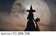A witch in a dark outfit stands with a pumpkin beneath a striking full moon. Стоковое AI-видео, аниматор Данила Большаков / Фотобанк Лори