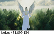 Guardian Angel with Luminous White Wings Watches Over a Misty Forest, Bathed in Heavenly Light. Ideal for spiritual art or inspirational print. Стоковое AI-видео, аниматор Данила Большаков / Фотобанк Лори