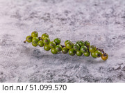 Ripe green pepper corn branch. Стоковое фото, фотограф Андрей Старостин / Фотобанк Лори