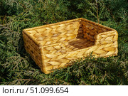 Rectangular wicker basket nestled among lush green foliage. Outdoor environment suggests use for gardening or harvest activities. Natural light highlights woven texture. Стоковое фото, фотограф Андрей Ка / Фотобанк Лори