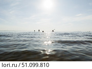 Водный пейзаж летом, отдыхающие люди на горизонте, катание на сап-борде, летний отдых под открытым небом в солнечный день, солнечные блики на воде. Стоковое фото, фотограф Мария L. / Фотобанк Лори