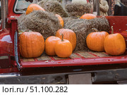 A red pickup truck loaded with pumpkins and haystacks. Pumpkins in the trunk of the car. The concept of farming, harvesting, Halloween. Стоковое фото, фотограф Регина Ерофеева / Фотобанк Лори