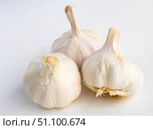 garlic heads and cloves on white background. Стоковое фото, фотограф Татьяна Яцевич / Фотобанк Лори