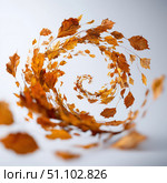 Autumn Leaves Swirl. Стоковое AI-изображение, AI-художник Павлов Максим / Фотобанк Лори