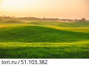 Automatic water sprinklers irrigating a lush green golf course at sunset, creating a serene landscape with golden light illuminating water droplets and rolling hills. Стоковое фото, фотограф Ольга Ильина / Фотобанк Лори