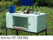 Брудер для содержания маленьких цыплят. Brooder for keeping small chickens. Стоковое фото, фотограф Роман Лукьянов / Фотобанк Лори