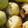 Переспевшие, упавшие груши, которые изнутри выгрызают осы Overripe, fallen pears that are eaten from the inside by wasps. Стоковое видео, видеограф Краснова Ирина / Фотобанк Лори