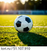 Soccer ball on the stadium sports field. Sunny day. Стоковое AI-изображение, AI-художник Ирина Гильмуллина / Фотобанк Лори