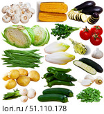Vegetables isolated on white background. Стоковое фото, фотограф Яков Филимонов / Фотобанк Лори
