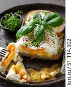 bruschetta with cottage cheese, poached egg and basil. Стоковое фото, фотограф Julia Lavleis / Фотобанк Лори