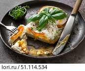 bruschetta with cottage cheese, poached egg and basil. Стоковое фото, фотограф Julia Lavleis / Фотобанк Лори