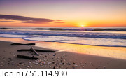 Beautiful sunrise over ocean with sandy beach. Calm morning seascape with waves, driftwood, and seashells. Peaceful travel and vacation background. Стоковое AI-изображение, AI-художник Павел Муравьев / Фотобанк Лори