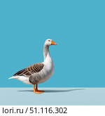 White goose standing on a vibrant blue background. Стоковое AI-изображение, AI-художник Татьяна  Бральнина / Фотобанк Лори