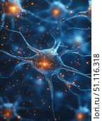 Colorful illustration of neurons showcasing intricate connections in a scientific study context. Стоковое AI-изображение, AI-художник Татьяна  Бральнина / Фотобанк Лори