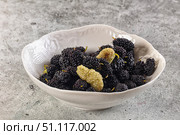 Ripe sweet juicy black and white mullberry. Стоковое фото, фотограф Андрей Старостин / Фотобанк Лори