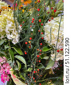 Флористическое фоновое изображение. Гортензии и аспарагус-спаржа. Floral background image. Hydrangeas and asparagus. Стоковое фото, фотограф Александр Рыбалка / Фотобанк Лори