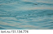 Close-up of a coot diving into the turquoise water of a lake, its bright black plumage contrasting with the distinctive white shield on its face. Стоковое видео, видеограф Воловодов Владимир / Фотобанк Лори