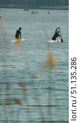 Two canoe athletes powerfully float on sparkling waters framed by tall grasses. Preparation for the competition athletes watermen. Стоковое видео, видеограф Воловодов Владимир / Фотобанк Лори