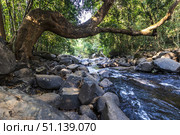 Dudhsagar Waterfall, Goa, India. (2018 год). Стоковое фото, фотограф Емельянов Евгений Викторович / Фотобанк Лори