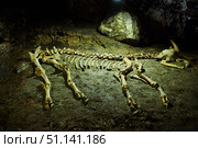 Dark cave view from inside with a lumen. Stalactites and stalagmites inside the stone grotto. Colorful stones in the cave. Lighting electricity beauty of the cave. (2019 год). Стоковое фото, фотограф Наталия Кирсанова / Фотобанк Лори