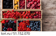 Assorted fresh berries in wooden boxes, closeup, selective focus. Стоковое AI-изображение, AI-художник Дмитрий Нечаев / Фотобанк Лори
