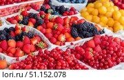 Assorted fresh berries in wooden boxes, closeup, selective focus. Стоковое AI-изображение, AI-художник Дмитрий Нечаев / Фотобанк Лори