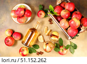Apple cider, juice, vinegar or fermented drink and fresh apples on a sunny table. Autumn banner. Diet and weight loss concept. Healthy eating, body detoxification, apples help cleanse the body. Стоковое фото, фотограф Светлана Балынь / Фотобанк Лори
