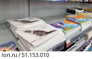 Shelves with office supplies in a store. In the foreground are stacks of sketchbooks. The covers of the sketchbooks are decorated with different images: one is a realistic photo of a fluffy tabby kitten on a white background, the other is a bright illustration of a parrot in rich blue, red and orange tones. Other sketchbooks and notebooks with colorful covers are visible to the left and right. The products are neatly laid out on the shelf, with price tags with discounts and barcodes nearby. The photo is taken with good lighting, with details of the covers and paper textures in focus. Suitable for illustrating school and art supplies, topics on preparing for school, choosing stationery and marketing materials for online stores. Редакционное фото, фотограф Анна Кривицкая / Фотобанк Лори