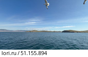 Beautiful Baikal lake landscape in summer. Video of a passenger ferry crossing the Olkhon Gate Strait. Seagulls circling around the ship. Summer trips to Olkhon Island. Natural background. Стоковое видео, видеограф Виктория Катьянова / Фотобанк Лори