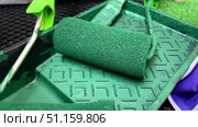 Foam rollers for painting tasks for renovating various surfaces in home environment. Interior design, tools for improvement wall in room, bright saturation green color and dry paint. Стоковое видео, видеограф Olga Monako / Фотобанк Лори